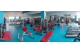 Парта для бицепса (Скамья Скотта) Aerofit IFSPC фото 2