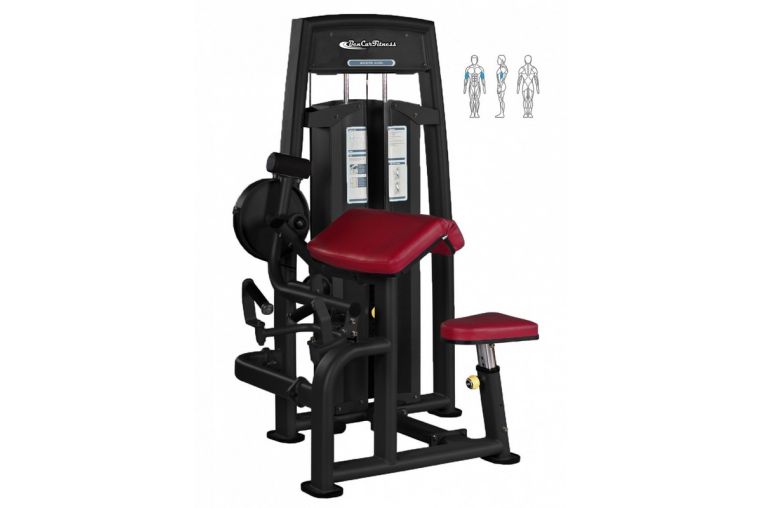 Бицепс машина BenCarFitness ТS-P054 фото 1