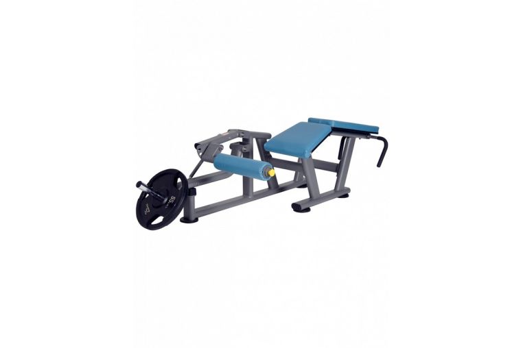 Сгибания ног лежа BenCarFitness TS-P012 