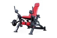 Разгибания бедра сидя (независимые рычаги) Panatta 1HP581