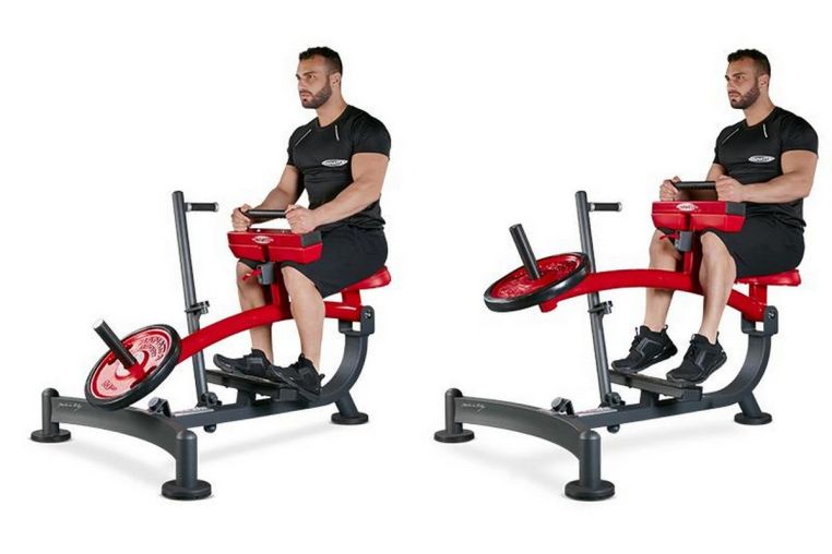 Икры сидя\Тибия Panatta 1HP588T фото 1