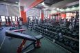 Многопозиционная скамья Impulse HSP7011 фото 2