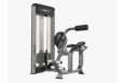 Комбинированный пресс машина\разгибатель спины Fitex Pro FTX-5508F фото 1