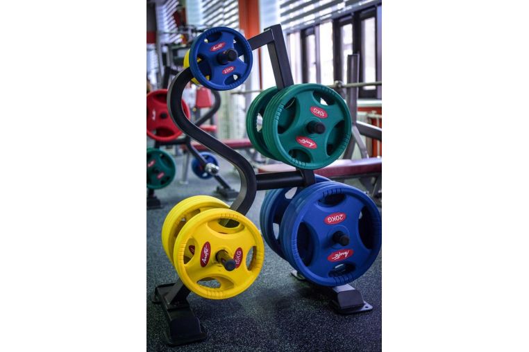 Стойка для дисков Aerofit SL7010 фото 1