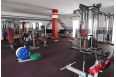 Стойка для олимпийских дисков Aerofit IFPTO фото 1