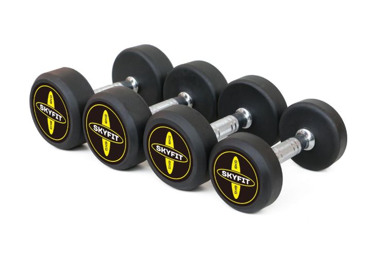 Набор гантелей PRO от 2,5 кг до 25 кг SkyFit SF-PRO-25 