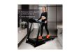 Электрическая беговая дорожка Everyfit K243E фото 10
