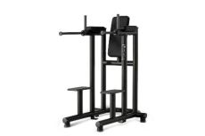 Technogym Leg Raise Dip